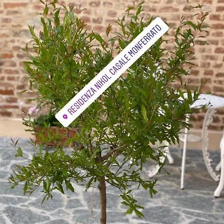 Residenza Nikol *