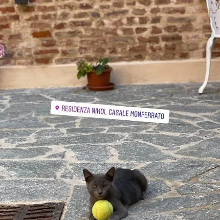 Daire Residenza Nikol *