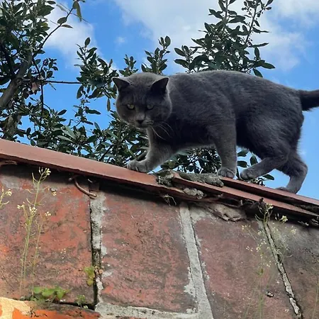 Residenza Nikol * Casale Monferrato