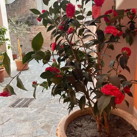 Residenza Nikol * Casale Monferrato