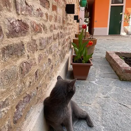 Residenza Nikol Apartment Casale Monferrato