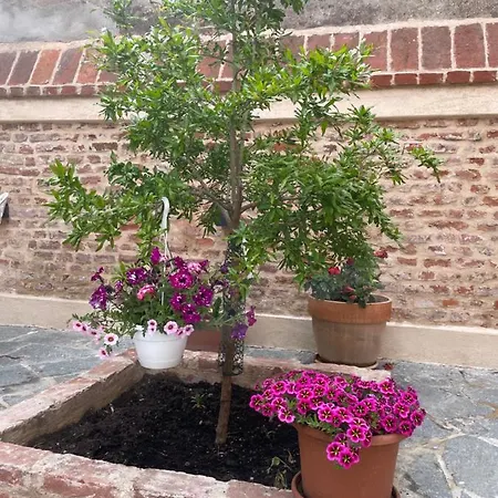 Residenza Nikol
