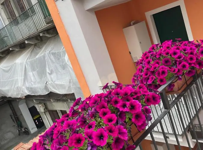 Residenza Nikol דירה *