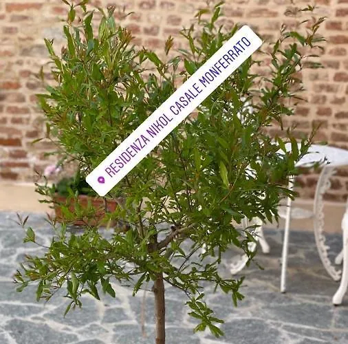 Residenza Nikol *