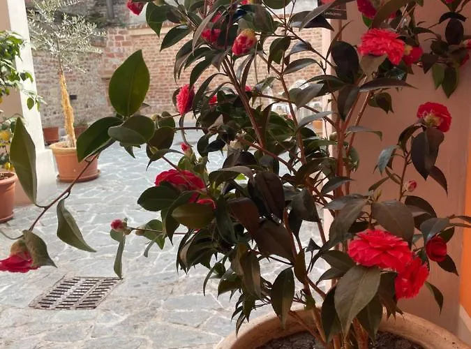 Residenza Nikol * קזאלה מונפראטו